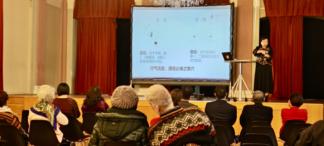 张虹教授带领专家赴欧洲参加【亲情中华，中医暖侨】国际交流系列活动(图11)