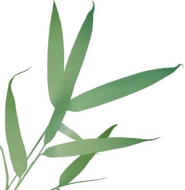 非遗文化传承 “侨”见中医智慧成都中医药大学侨联专家团助力第九届中国成都国际非物质文化遗产节(图2) 图片