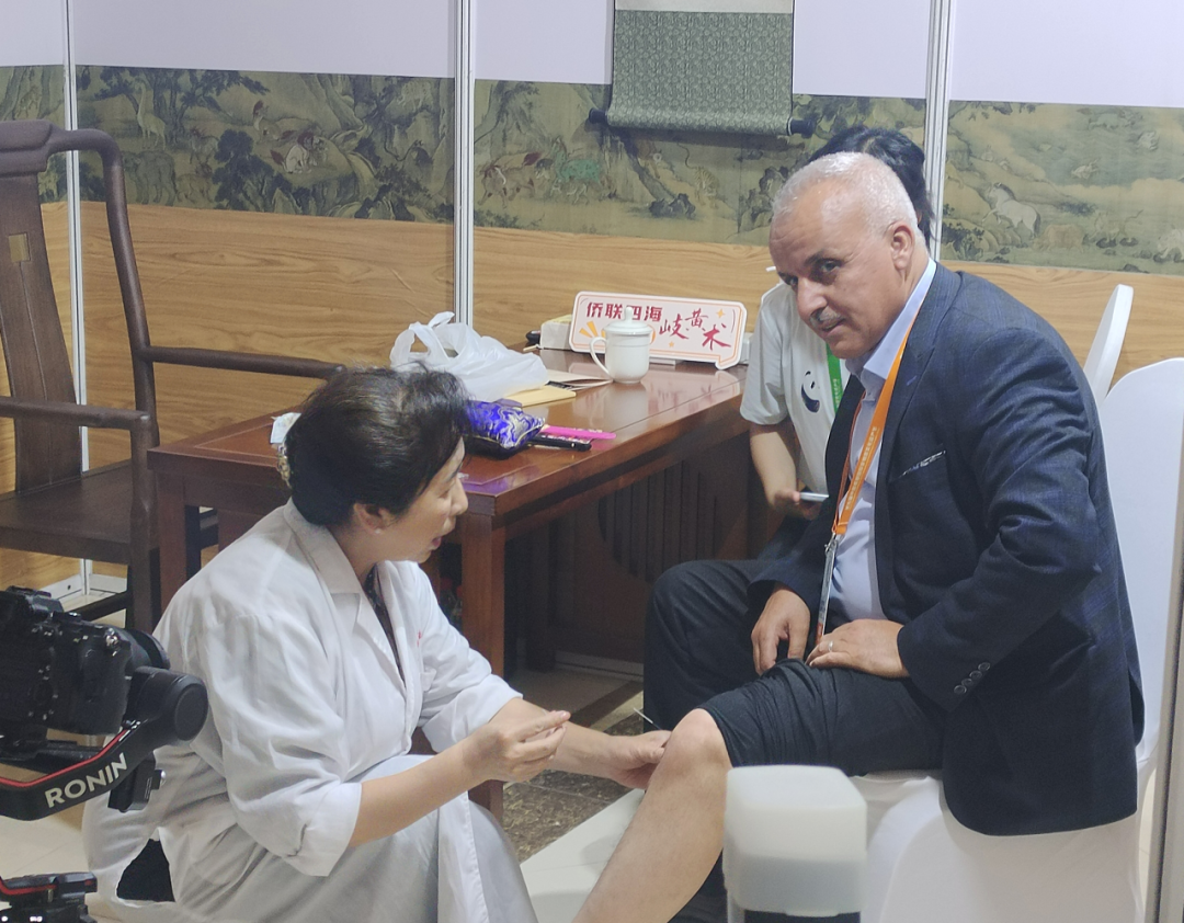 非遗文化传承 “侨”见中医智慧成都中医药大学侨联专家团助力第九届中国成都国际非物质文化遗产节(图6) 图片