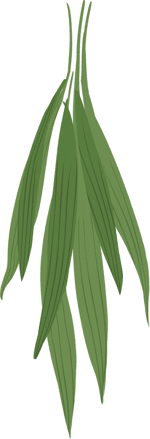 非遗文化传承 “侨”见中医智慧成都中医药大学侨联专家团助力第九届中国成都国际非物质文化遗产节(图13) 图片